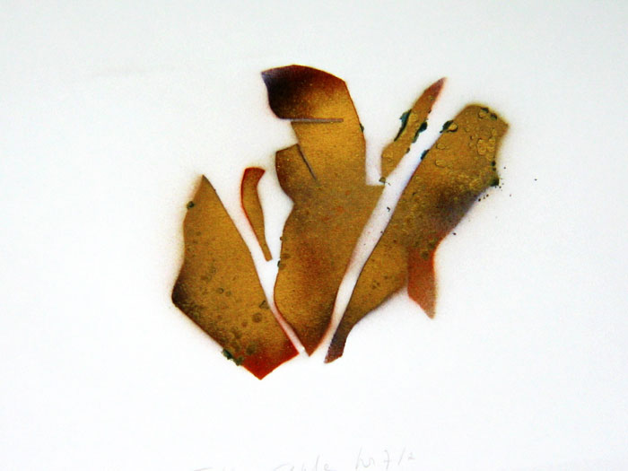 Recipe-Nr.-7-Toffee-Apple-Maria-Es-2011-(5)